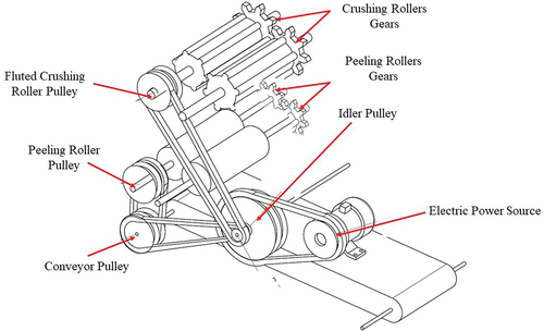 Figure 4. Power transmission system of the developed ribboner.