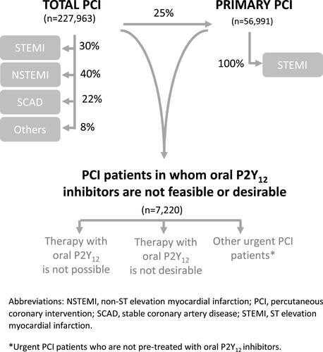 Figure 1 Three years distribution of the total, primary PCI and PCI population in whom antiplatelet therapy with oral P2Y12 inhibitors is not feasible or desirable, in Spain.