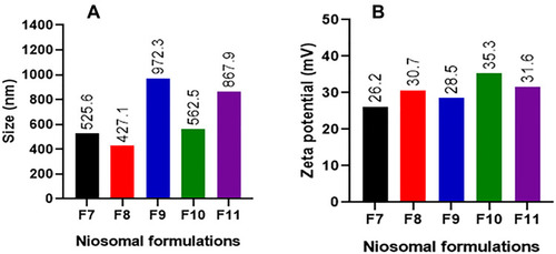 Figure 3 Size (A) and zeta potential (B) of niosomal formulations.