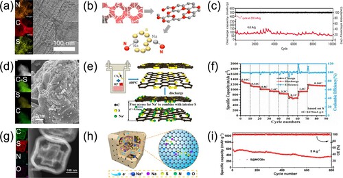 Figure 5. (a) TEM images of N, S-HPC and its corresponding EDAX elemental mapping. (b) Schematic diagram of the synthesis of N, S-HPC. (c) Long cycling Performance. Copyright 2016, Elsevier [Citation74]. (d) The typical TEM images of covalent-SC. (e) Diagram of the covalent-SC reaction mechanism. (f) Rate performance. Copyright 2020, American Chemical Society [Citation75]. (g) HAADF-STEM and the corresponding EDS elemental mapping of the S@MCCBs. (h) Schematic Illustration of the Features of the MCCBs as a sulfur host. (i) Long cycling Performance. Copyright 2021, American Chemical Society [Citation54].