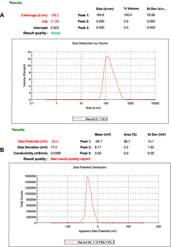 Figure 2 Particle size distribution graph (A) and zeta potential distribution graph (B).