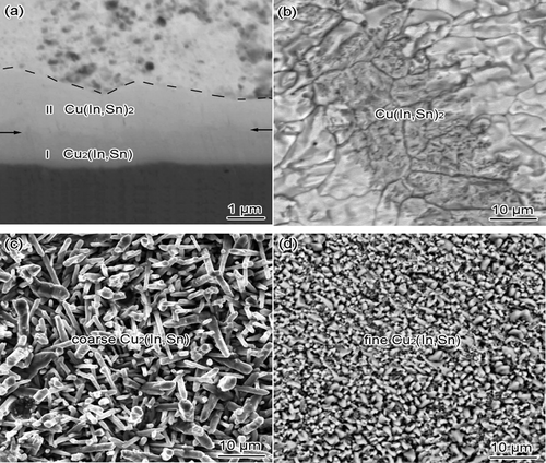 Figure 5. (a) Cross-sectional SEM image of the interface after soldering, (b) the top-view SEM images of reflowed chunk-type Cu (In, Sn)2, (c) coarse-grain Cu2(In, Sn), (d) fine grain Cu2(In, Sn). Reprinted with permission from Feifei Tian, et al. [Citation51]. Copyright 2018 Elsevier.