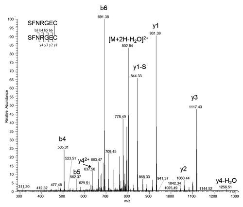 Figure 8. Tandem mass spectrum of the precursor ion of doubly charged disulfide linked L13-S-S-L13 at m/z 811.33. y1-S is the y1 ion without N-terminal serine.