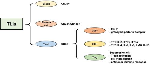 Figure 1 Classification of neoplastic infiltrating lymphocytes.