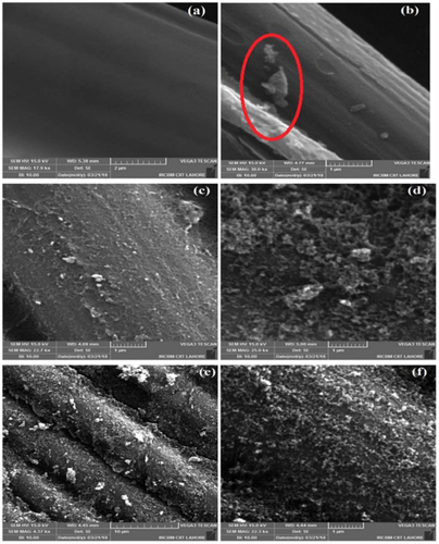 Figure 7. SEM images of (a) as received CF, (b) carbon aerogel coated CFs, (c) CF/CAG.GNP1, (d) CF/CAG.GNP3, (e) CF/CAG.GNP5 at 22000x, (f) 5000x magnification [Citation41].