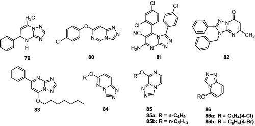 Figure 13. Triazolopyrimidines, triazolopyridazines, triazolopyridines, and triazolopyrazines (79–86).