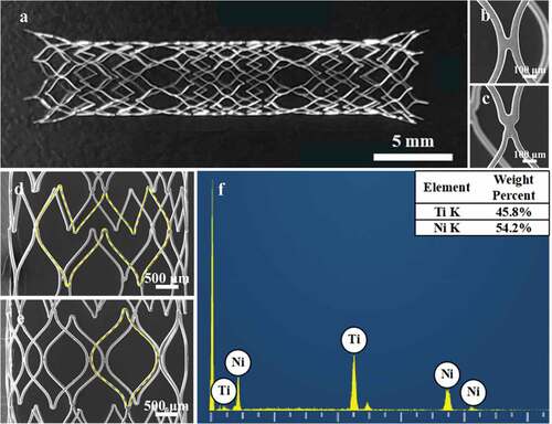 Figure 5. Dimension verification and composition of laser-cut stents: (a) the whole stent image, (b, c) structural connecting rod, (d) open cell structure of the stent, (e) closed cell structure of the stent, (f) the chemical composition of the stent measured by EDS.