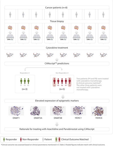 Figure 1. (a) Flow diagram showing AML patient recruitment, CANscriptTM prediction to cytarabine monotherapy and their clinical response. (b) Representative IHC images showing expression levels of: DNMT1, DNMT3A, DNMT3B, HDAC1, and HDAC6. The images were taken from sections of a tumor sample responder to cytarabine and a tumor sample nonresponder to cytarabine. The responder and nonresponders were determined from S-score, with S-Score > 19.1 being classified as responders and S-Score ≤ 19.1 being considered nonresponders. The IHC score (%) have been shown with each image. (c) IHC scores (%) are shown for the biomarkers DNMT1, DNMT3A, DNMT3B, HDAC1, and HDAC6, in two responder and four nonresponder samples. IHC scores were based on percentage of tumor cells expressing the marker