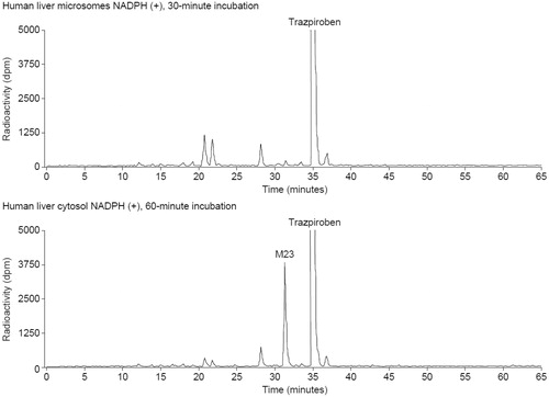 Figure 2. Typical radiochromatograms of the in vitro incubation mixture of [14C] trazpiroben with human liver microsomes and cytosol.