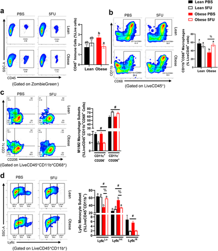 Figure 5. Skeletal muscle immune cells. a) Representative flow plots of Cluster of Differentiation (CD) 45+ immune cells in all groups and quantified results shown as percent abundance among live cells. b) Representative flow plots of CD11b+CD68+ macrophages in all groups and quantified results shown as percent abundance among LiveCD45+ cells. c) Representative flow plots of CD11c x CD206 in all groups and quantified results shown as the percent abundance among LiveCD45+CD11b+CD68+. Quadrants indicate 4 distinct quantifiable populations, Q1: CD11c+CD206−, Q2: CD11c+CD206+, Q3: CD11c−CD206+, and Q4: CD11c−CD206−. d) Representative flow plots of Ly6cLo/Int/Hi monocytes/macrophages in all groups and quantified results shown as the percent abundance among LiveCD45+CD11b+ cells. Tertiles indicate 3 quantifiable populations, Ly6cLo, Ly6cInt, and Ly6cHi. Values are means ± SEM. Two-way ANOVA and LSD post hoc and multiple comparisons. #Indicates main effect of 5FU. %Indicates main effect of Obese. Different letters signify statistically significant differences with an interaction. Significance was set as p < .05.