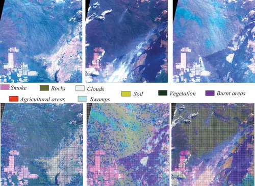 Figure 15. A multi-temporal data set for the first use case. (From left to right and from top to bottom): An RGB quick-look view of a first Sentinel-2 image from August 5th, 2019, of the second image from August 25th, 2019, and of the last image from September 9th, 2019, followed by the classification maps of each of the three images