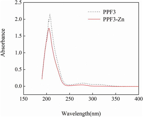 Figure 1. UV spectra of PPF3 and PPF3-Zn.Figura 1. Espectros UV de PPF3 y PPF3-Zn.UV: Espectro de escaneo ultravioleta, PPF3: Péptido del cacahuate con MW < 3 kDa, PPF3-Zn: Quelato del péptido del cacahuate con MW < 3 kDa y Zn2+, MW: Peso molecular.