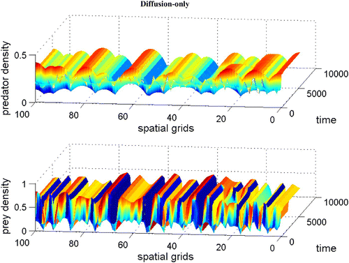 Figure 9. Coexistence steady state is shown to be locally unstable for system Equation(1) and Equation(2) with h(v, n)=0.8 v/(0.05 n+v), f(v)=1−v, and δ (n)=0.76 and with χ(v)=0.0. The diffusion coefficient ε is 0.01. Spatial grid size is d x=0.25, time step dt=0.01, and γ=15. Here the coexistence steady state is (v s, n s)=(0.2, 0.211). Available in colour online.