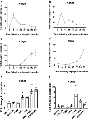 Figure 1. (a-d) 3T3-L1 fibroblasts were treated with differentiation medium for the indicated times (h, unless indicated by D = days) at which point samples were analysed for expression of Cebpb, Cebpd, Cebpa and Pparg by RT-qPCR. (e,f) 3T3-L1 fibroblasts were treated with the indicated components of the differentiation medium or the entire cocktail, as indicated, for 3 h at which point samples were analysed for expression of Cebpb and Cebpd by RT-qPCR. Data presented are mean ± SEM (n = 3)