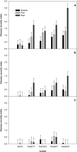 Fig. 6. Disease severity index values for infection caused by Penicillium species on tomato fruit. Fruit were inoculated at the breaker, pink or red ripe stage at three different positions: (a) shoulder, (b) middle region, or (c) base of the fruit, and incubated at 12 °C in humid chambers for 14 days. An isolate of Cladosporium spp. (520T3) recovered from tomatoes served as the control. Isolate abbreviations: Po = P. olsonii and Ps = P. solitum.