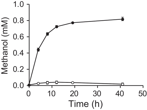 Figure 2. Production of methanol from formaldehyde in a whole-cell reaction of E. coli expressing mdh-His6.