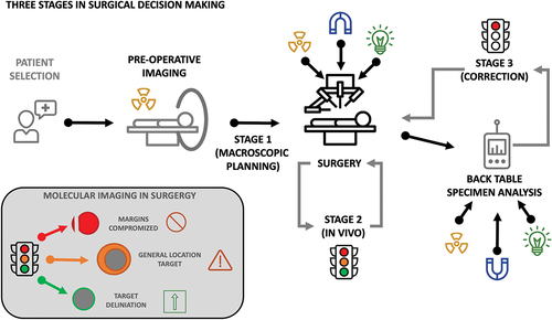 Figure 1. Decision making stages in a typical intraoperative molecular imaging surgery workflow and how these relate to red- (stop), orange- (slow down and approach with caution), and green- (go) light image guidance.