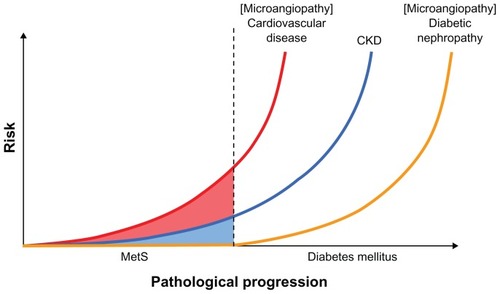 Figure 1 Risk of disease aggravation with diabetes progression.