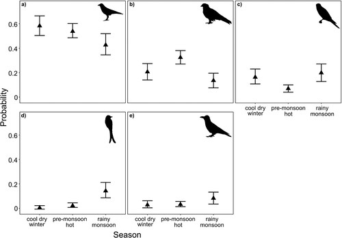 Figure 3. Seasonal changes in the probabilities of Red-necked Falcons Falco chicquera being mobbed while feeding by the most common species, i.e. ≥ 30 observations: (a) House Crows Corvus splendens (N = 358), (b) Black Kites Milvus migrans (N = 170), (c) Red-necked Falcons (N = 84), (d) Black Drongos Dicrurus macrocercus (N = 33), and (e) Large-billed Crows Corvus macrorhynchos (N = 31) in Bangladesh between 2002 and 2019.