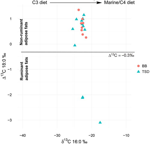 Figure 9. Results of isotope analysis of Tongsamdong (TSD) and Beombang (BB) samples, using the method described in Salque et al. (Citation2013). Y axis indicates Δ13C18:0 = δ13C18:0 - δ13C16:0.