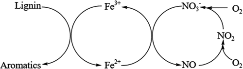 Figure 8. Catalytic mechanism of FeCl3/NaNO3/O2 catalytic system [Citation90].