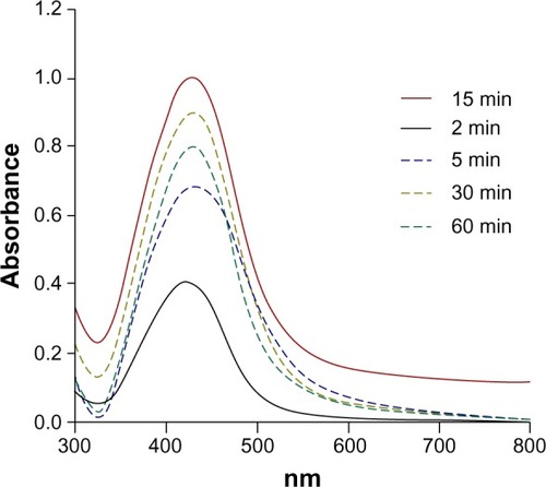 Figure 1 Ultraviolet-visible spectra of AH-AgNPs obtained via Agrimoniae herba extract and 1 mM AgNO3 for various extraction times.Notes: The full line represents the optimum reaction time, and the dashed lines represent assayed reaction conditions. The ordinate represents the maximal ultraviolet absorption within a range of 300–800 nm.Abbreviation: AH-AgNPs, Agrimoniae herba-conjugated Ag nanoparticles.