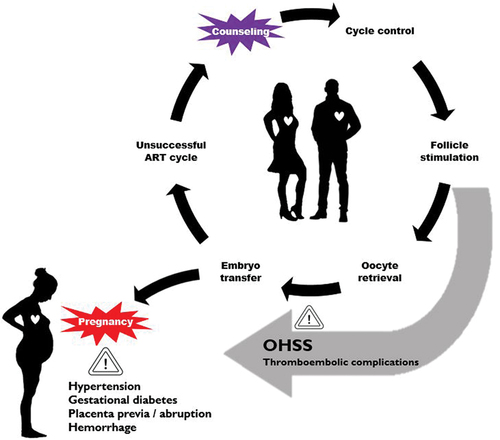 Figure 3. The Assisted Reproductive Technology (ART) cycle and associated complications. OHSS – ovarian hyperstimulation syndrome.