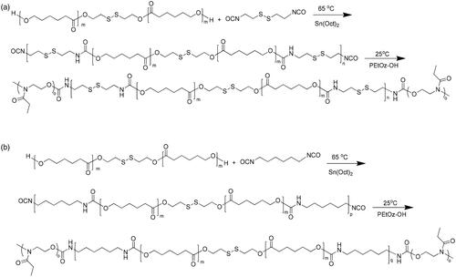 Figure 1. (a) Synthesis route of PEtOz-b-PU (SS)-b-PEtOz. (b) Synthesis route of PEtOz-b-PU-b-PEtOz.