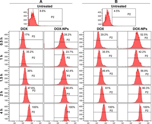 Figure 5 Fluorocytometric analysis of the intracellular presence of DOX in MCF-7 (A) and E0771 (B) cells.Notes: Representative image of the FACScan analysis and mean values of untreated cells and cells treated with free DOX and DOX-loaded PBCA NPs (DOX-NPs) at the highest concentration (43.1 μM) over a 4 h period.Abbreviations: DOX, doxorubicin; PBCA NPs, poly(butylcyanoacrylate) nanoparticles; h, hours.