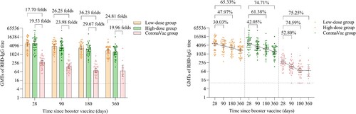 Figure 4. Wild-type SARS-CoV-2 RBD-specific IgG antibodies after a booster vaccination. Horizontal bars show GMTs and error bars show 95% confidence intervals. Data (folds) above the bars are the NAb GMT ratios of the homologous boost group to the heterologous boost group. Long lines connecting the GMTs of adjacent groups indicate trends in RBD-IgG antibodies over days after a booster vaccination. Data (%) above the bars show the percent reduction in GMTs of RBD-IgG antibody titres at day 90, day 180 and day 360 post-boost compared to day 28. All horizontal dotted lines denote the detectable cutoff titres of 1:10. GMT = geometric mean titre in serum. RBD-IgG = receptor-binding domain (RBD)-specific IgG antibodies.