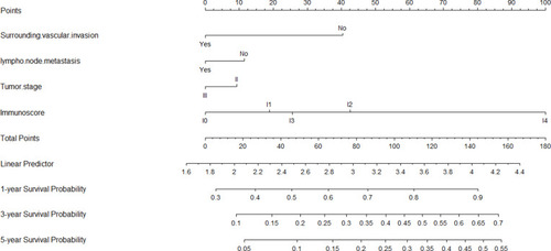 Figure 8 Nomogram to predict the probabilities of 1, 3 and 5-year survival probability. Points are assigned for R0 resection, Surrounding vascular invasion, Tumor stage and Immunoscore by drawing a line upward from the corresponding values to the “Points” line. Draw an upward vertical line to the “Points” bar to calculate points. Based on the sum, draw a downward vertical line from the “Total Points” line to calculate 1, 3 and 5-year survival probability. Internal validation using the bootstrap method showed that the C-index for the model was 0.704.
