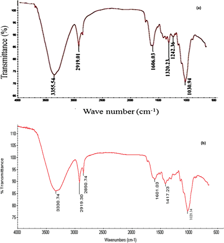 Figure 2. FTIR spectrum of (a) FSPRF and (b) AFSPRF.