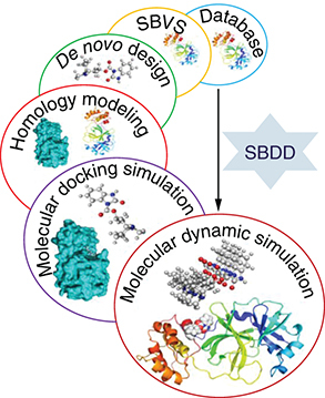 Figure 4. A simple pipeline of an effective structure-based drug design.SBDD: Structure-based drug design.