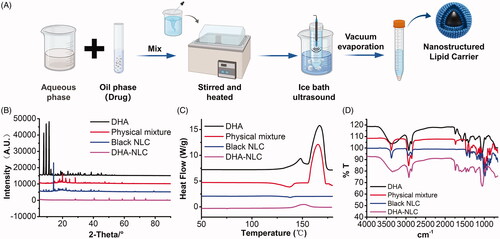 Figure 1. Preparation and characterization of dihydroartemisinin nanostructured lipid carriers. (A) Solid and liquid lipids, surfactants, and drugs were used as the oil phase; stabilizers were dissolved in water; the solvent evaporation ultrasonic melting method was used to prepare nanostructured lipid carriers. X-ray diffraction patterns (B), DSC scanning diagrams (C), and FTIR spectra (D) of different components of the nanostructured lipid carriers.