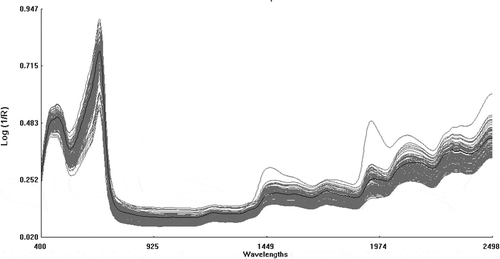 Figure 4 Raw spectra (log 1/R) of the samples of Chinese kale used in this study (n = 150) in the range 400 to 2500 nm.