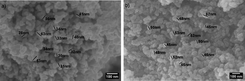 Figure 2. FE-SEM images: (a) untreated ZnO; and (b) treated ZnO. Scale bar: 100 nm for both micrographs.