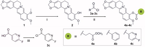Scheme 1. Synthetic route for the preparation of compounds 4a-4c and precursors. Reagents and conditions: (i) microwave, DMF, stirred at 100 W for 1 h; (ii) acetonitrile, pyridine, stirred for 1–2 h, room temperature; (iii) oxalyl chloride, stirred for 30 min, room temperature.
