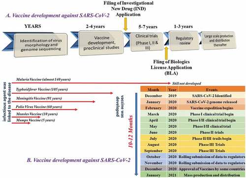 Figure 2. The illustration represents the process for (a) traditional vaccine development and (b) accelerated vaccine development in the COVID-19 pandemic against SARS-CoV-2 shown as compared to the traditional vaccine development timeline for malaria, typhoid, meningitis, polio, measles, and mumps.