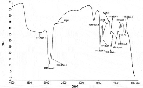 Figure 4. FTIR spectrum of native yam (Dioscorea rotundata).