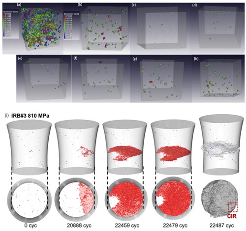 Figure 18. (a-h) 3D porosity distributions in the central 1 mm of each of the samples at increasing power. The images (b)–(h) are all to the same colour scale maximally 0.1 mm [Citation242]; (e) 3D renderings of FCG at 810 MPa stress [Citation246].