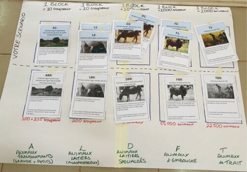 Figure 4. Game board used in Burkina Faso. Vignette cards can be placed in the top row by participants to select their future scenario.