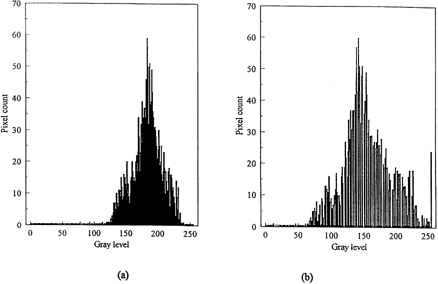 Figure 2. Gray level histogram of long grain rice: (a) original image; and (b) after gamma correction.