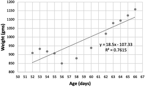 Figure 4. Weight gain by age for a kitten with upper respiratory infection. Treatment was received on days 57–66.