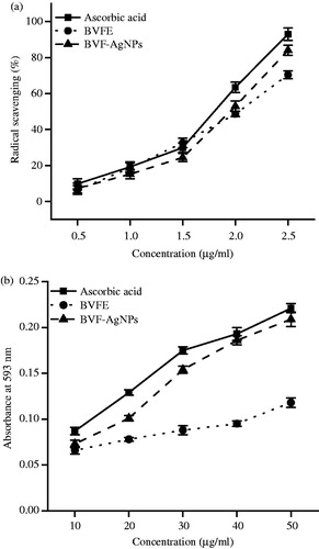 Figure 4. Antioxidant activities of BVFE and BVF-AgNPs. (a) DPPH radical scavenging activity and (b) FRAP activity in the presence of various concentration of B. variegata flower extract (BVFE) and B. variegata flower extract-mediated silver nanoparticles (BVF-AgNPs) synthesized are shown. BVF-AgNPs showed powerful antioxidant activity than BVFE. Results are expressed as mean ± SD (n = 6).