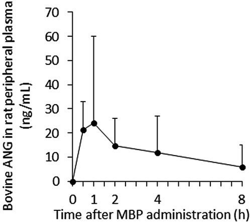 Fig. 2. Time course of bovine ANG absorption into rat peripheral blood after the oral administration of MBP.