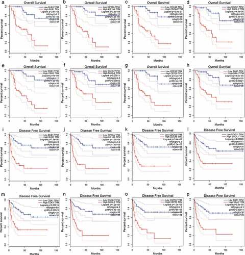 Figure 8. The overexpression of hub genes associated with TIMCs abundance in ACC is significantly associated with poor prognosis.