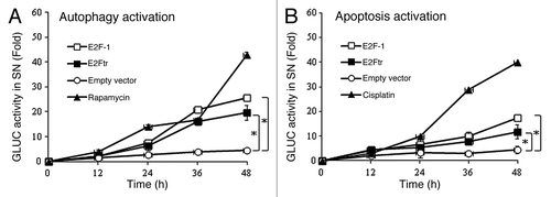 Figure 1. Quantification of autophagy and apoptosis activation by E2Ftr. A GLUC-based sensor to monitor autophagy or apoptosis was used. SK-MEL-2 cells were co-transfected with (A) pEAK12-Actin-LC3-dNGLUC (autophagy sensor) or (B) pEAK12-Actin-flagDEVDG2-dNGLUC (apoptosis sensor) and empty plasmid, pCMV-E2F-1 or pCMV-E2Ftr. Rapamycin (200 nM) was used as an autophagy inducer, and cisplatin (25 µM) was used as an apoptosis inducer. Supernatants were collected at different time points and analyzed for GLUC activity. Each point represents the mean of three independent experiments ± SD (bars) (*p < 0.05).