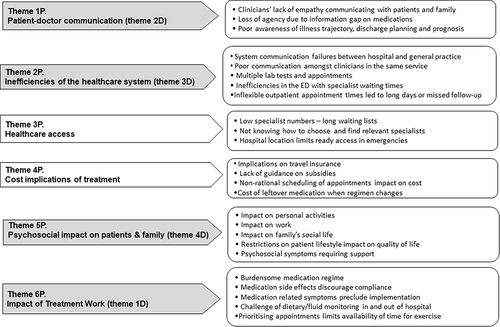 Figure 1 Treatment burden themes emerging from the patient (P).