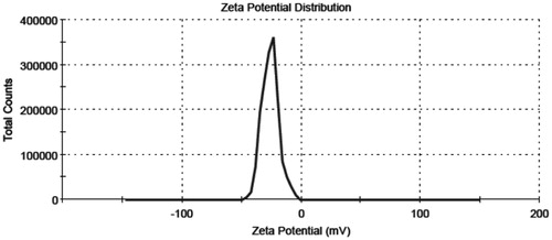 Figure 4. Zeta potential of optimized nanoemulsion formulation.
