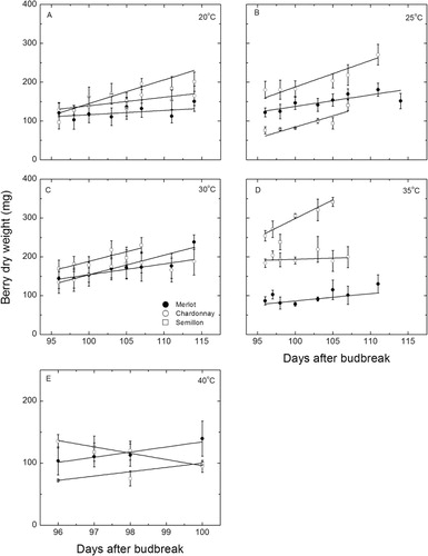 Figure 2 Changes in berry dry weight (mean ± SE, n = 12–15) during exposure to different temperature treatments for each of three cultivars as indicated. A, 20/14 °C; B, 25/17.5 °C; C, 30/21 °C; D, 35/24.5 °C; E, 40/28 °C day/night temperatures. The lines are fitted linear regressions to each data set. See the text for an explanation of the statistical significance of each line. Note the change in scale of the x and y axes of graph E.